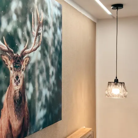 Waldklang-suite バート・ケッツティング